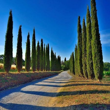 Agriturismo Boschetto Di Montiano Montiano  Eksteriør bilde