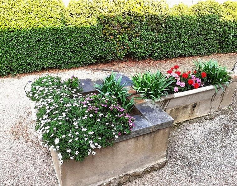 Agriturismo Boschetto Di Montiano Montiano  Eksteriør bilde