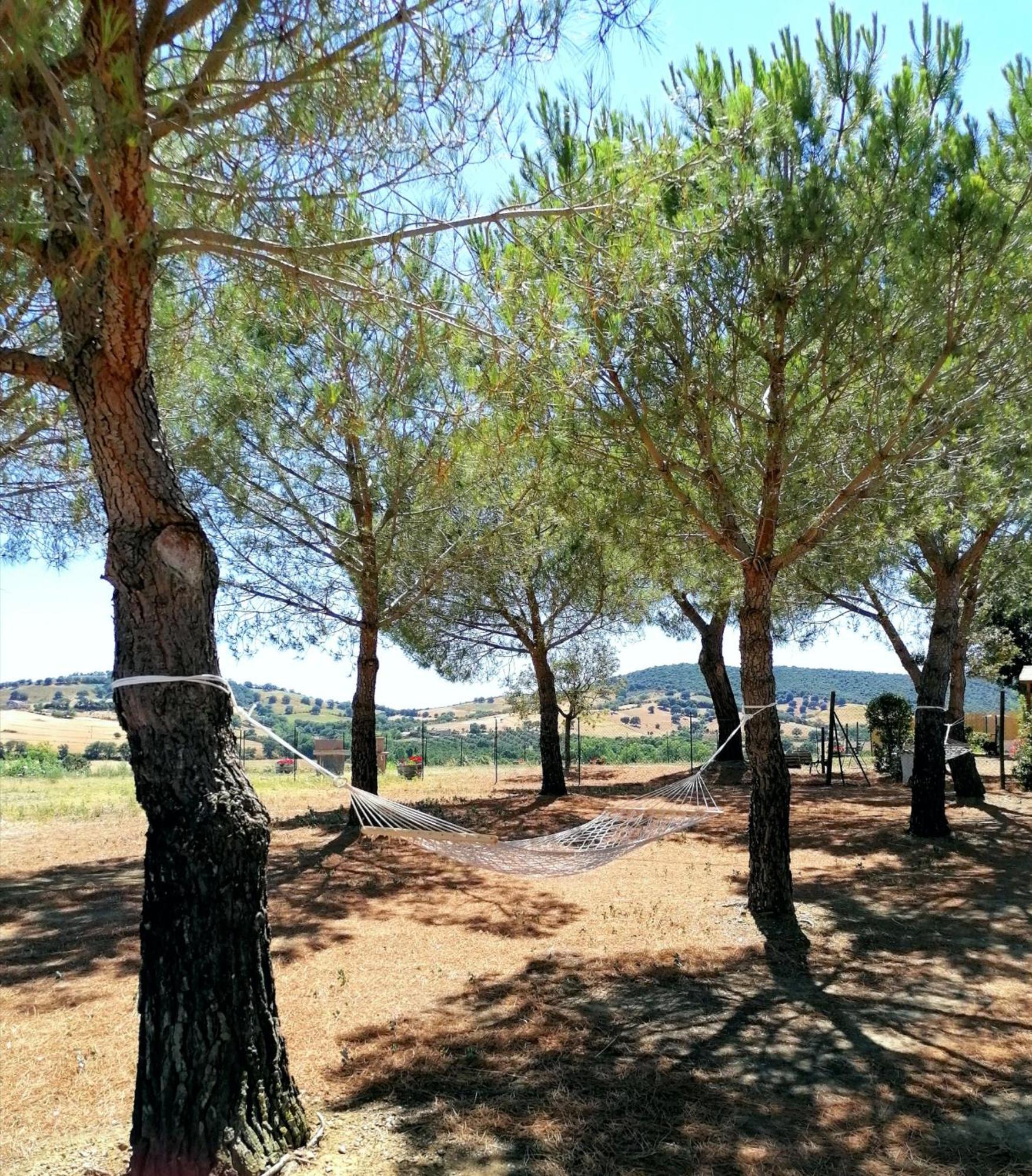 Agriturismo Boschetto Di Montiano Montiano  Rom bilde