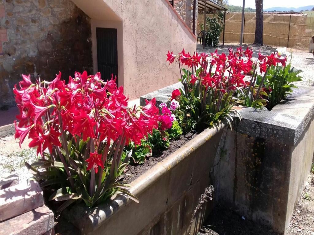 Agriturismo Boschetto Di Montiano Montiano  Eksteriør bilde