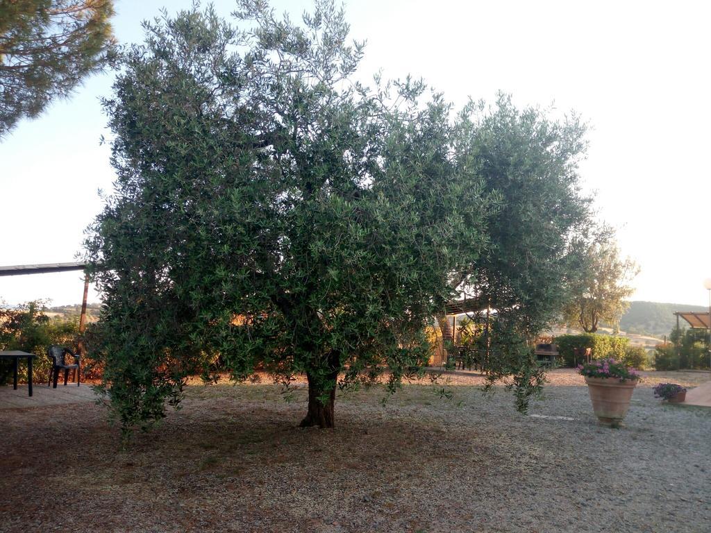 Agriturismo Boschetto Di Montiano Montiano  Eksteriør bilde