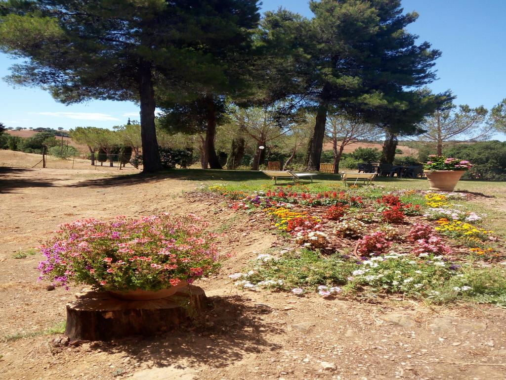Agriturismo Boschetto Di Montiano Montiano  Eksteriør bilde