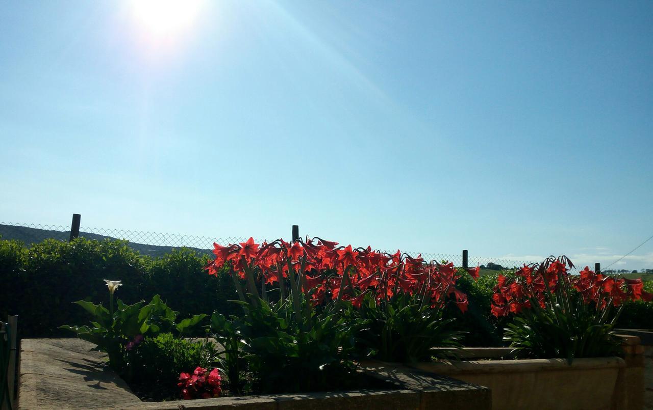 Agriturismo Boschetto Di Montiano Montiano  Eksteriør bilde