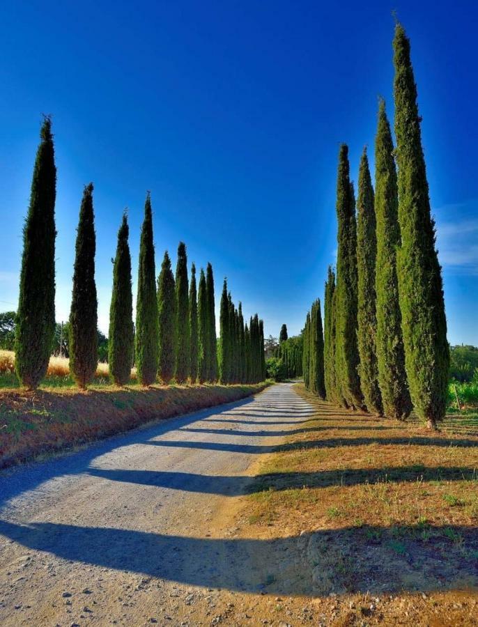 Agriturismo Boschetto Di Montiano Montiano  Eksteriør bilde